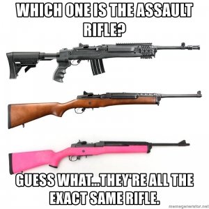 which-one-is-the-assault-rifle-guess-whattheyre-all-the-exact-same-rifle.jpg