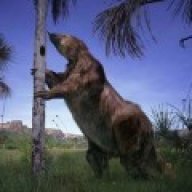 Megatherium