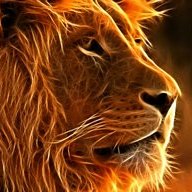 YHWH's Lion