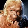 Zaius137