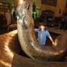 7itanoboa