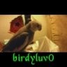 birdyluv0