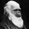 Darwin's Myth