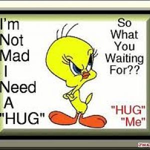 hug angry tweety