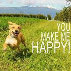 happy dog message