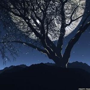 moon and tree 3d landscape wallpapers (Mobile)