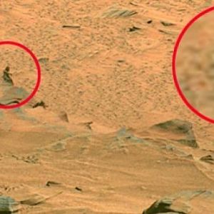 Bigfoot on Mars