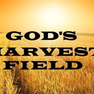 God’s Harvest Field – Moving Closer to Jesus – Christian Devotional
