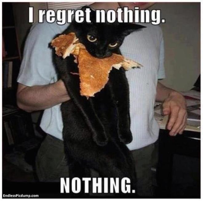 pizza-cat-regrets-nothing.jpg