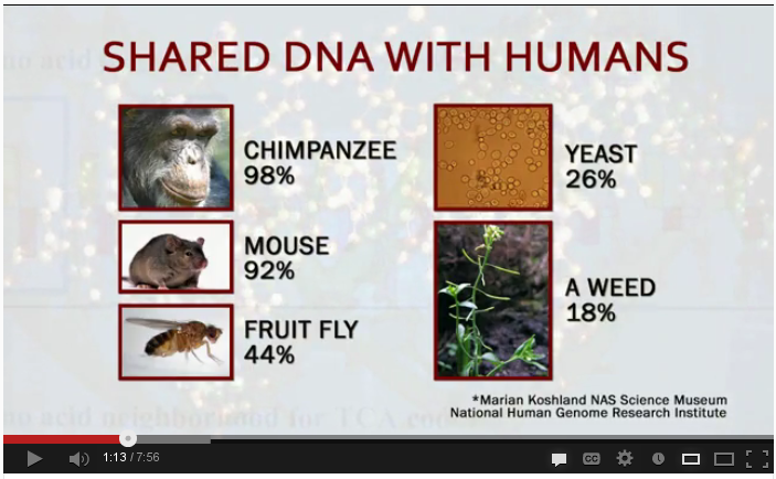 DNA-chart1.png