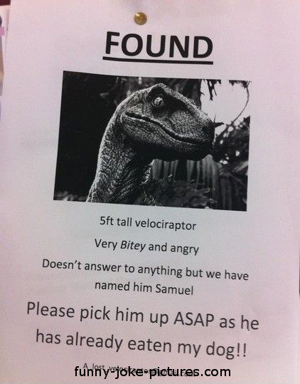 funny-lost-velociraptor.jpg