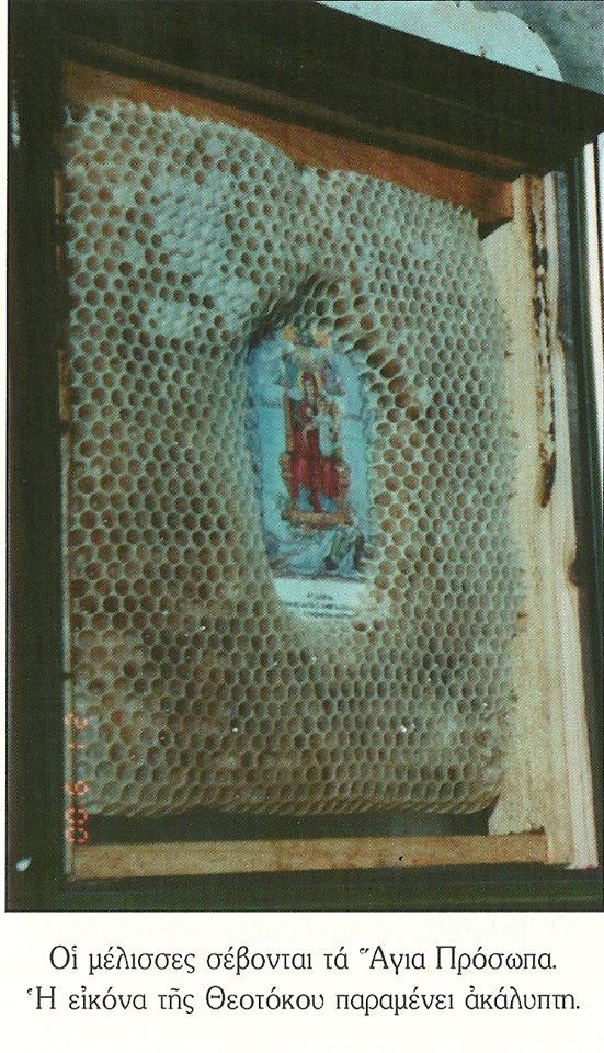 bees+panagia.jpg