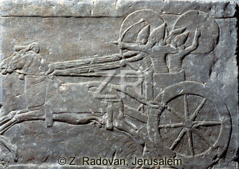 1379-Assyrian-war-chariot.jpg