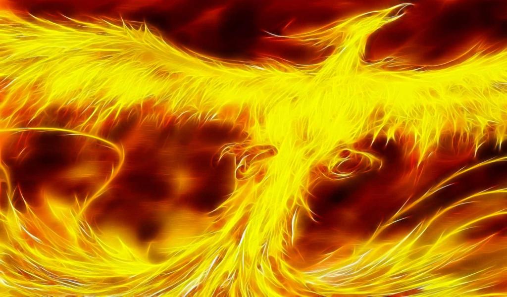 feuer-phoenix,1024x600,51166.jpg