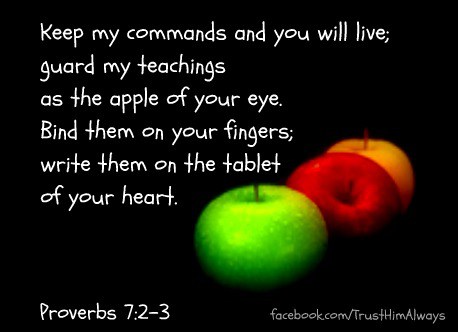 Proverbs-7v-2-3-Apple.jpg