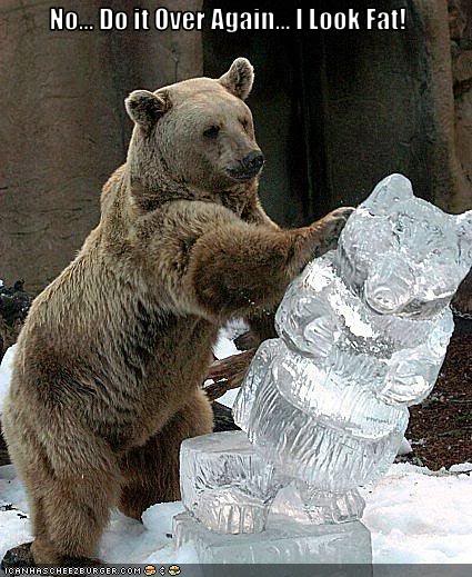 funny-pictures-bear-dislikes-ice-sc.jpg