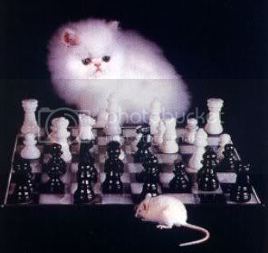 chess-cat-mouse-a.jpg
