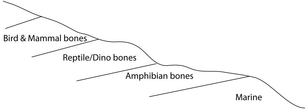 faunalsegregation_zpsab32a36c.jpg