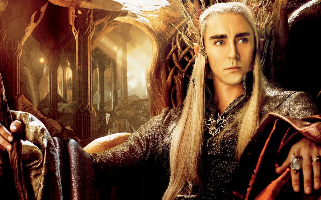 290580_papel_de_parede_thranduil_o_hobbit_a_desola_by_eleynah-d8geeou.jpg