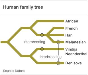 human-family-tree.jpg