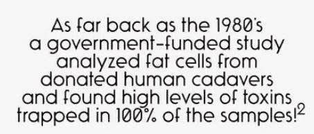 toxins-stored-in-fat-cells.jpg