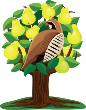 partridge_in_a_pear_tree_s1.jpg