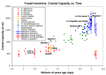 Fossil_homs_cranial_capacity_vs_time_0.img_assist_custom.png