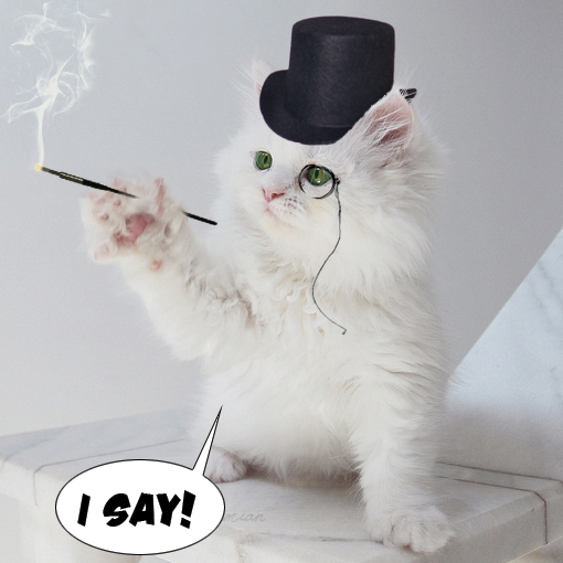 monocle_cat_by_dajs.jpg