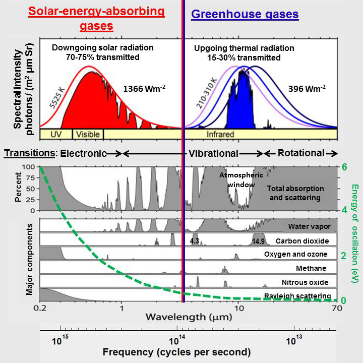 absorption-rhode.jpg