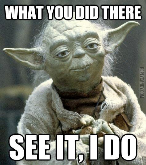 Yoda-What-You-Did-There-See-It-I-Do.jpg