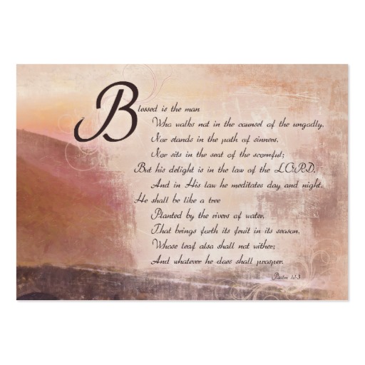 encouragement_inspirational_bible_verse_cards_business_card-r52d4540659fc4772b6037dbe73b9f433_xwjeg_8byvr_512.jpg