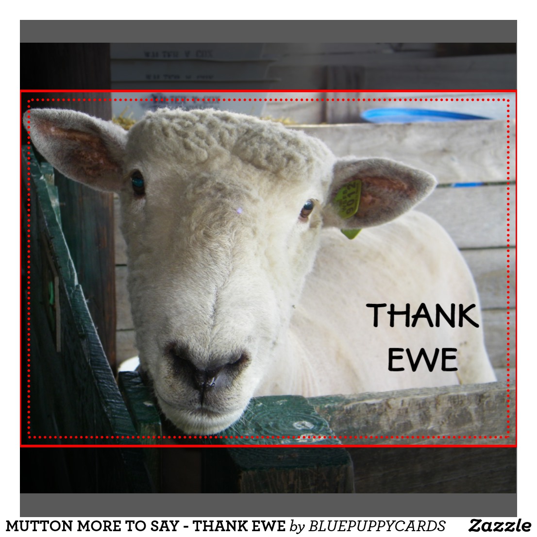 mutton_more_to_say_thank_ewe_greeting_card-r7e11ac43e35e40908587e543c3f483e6_xw03z_1024.jpg