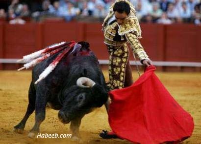 1336951539_matador.bullfight.11.jpg