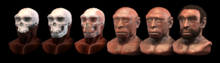 220px-Homo_heidelbergensis_-_forensic_facial_reconstruction.png
