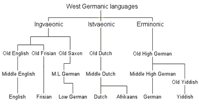400px-West_Germanic_languages_%28simplified%29.png