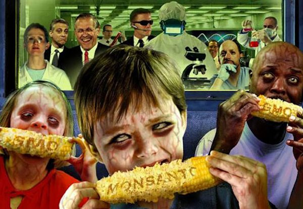 Monsanto-GMO-corn-Dees-illustration.jpg