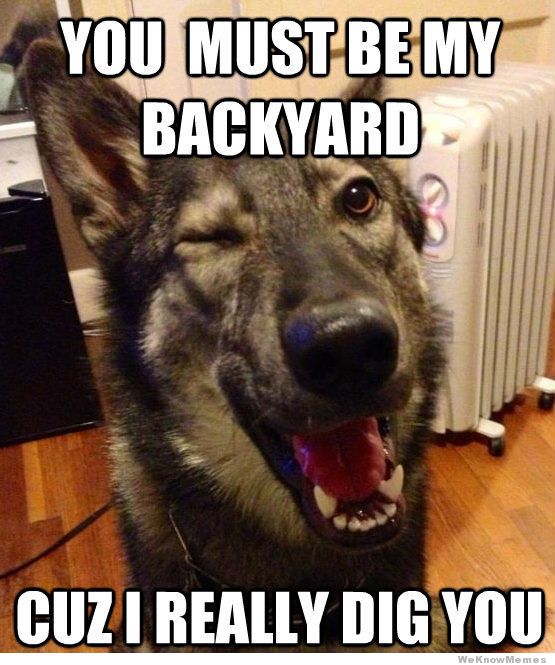 pickup-line-dog-meme.jpg