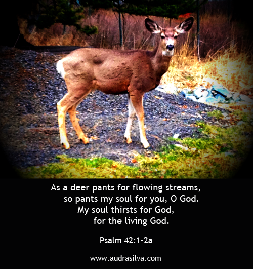 Psalm42-1-2a.png