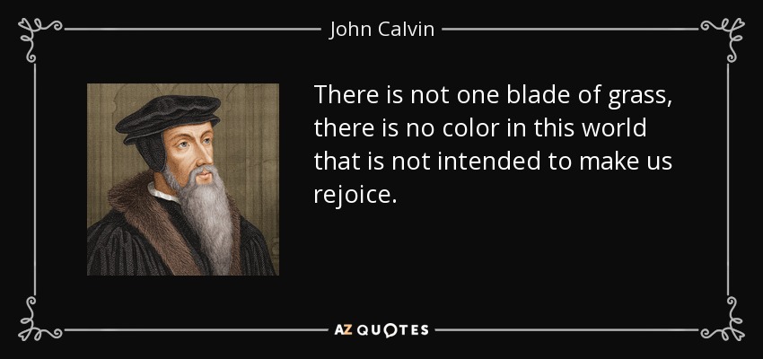 quote-there-is-not-one-blade-of-grass-there-is-no-color-in-this-world-that-is-not-intended-john-calvin-4-56-86.jpg