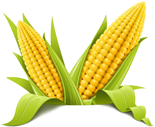 corn.png