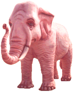 pink_elephant.gif
