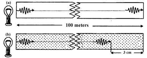 figure1b.gif