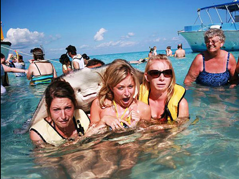 stingray-photobomb.jpg