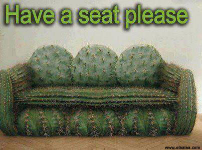 Funny-cactus-sofa-pictures.jpg