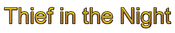 thiefinthenightlogo.gif