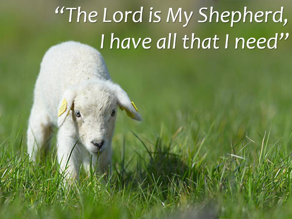 Worship-07.07.13-The-Shepherd-sermon.jpg