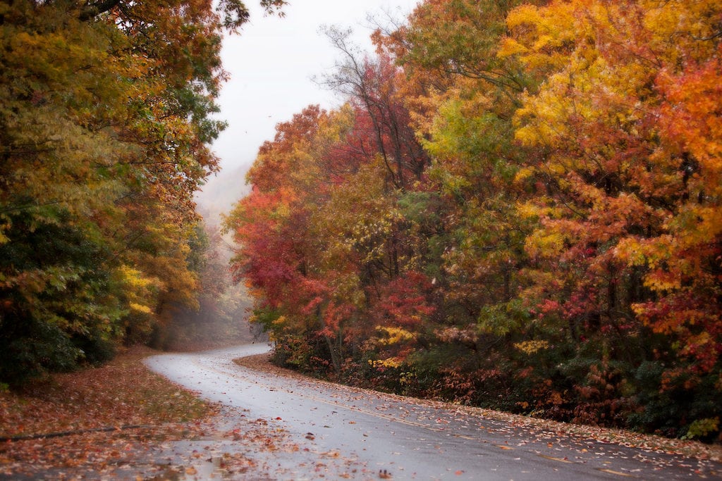 Canva-Blue-Ridge-Parkway-North-Carolina-autumn-fall-fall-foliage-travel-vacation-drive-road-1024x683.jpg