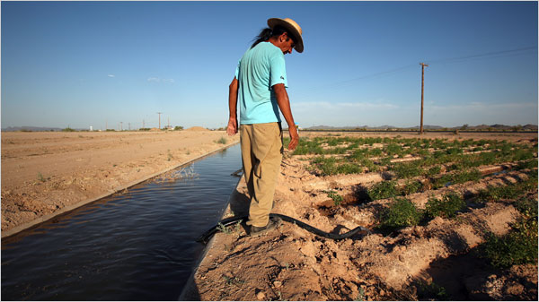native-americans-diabetes-farming-traditionally-gila-river-monica-almeida-nyt-8-31-08.jpg