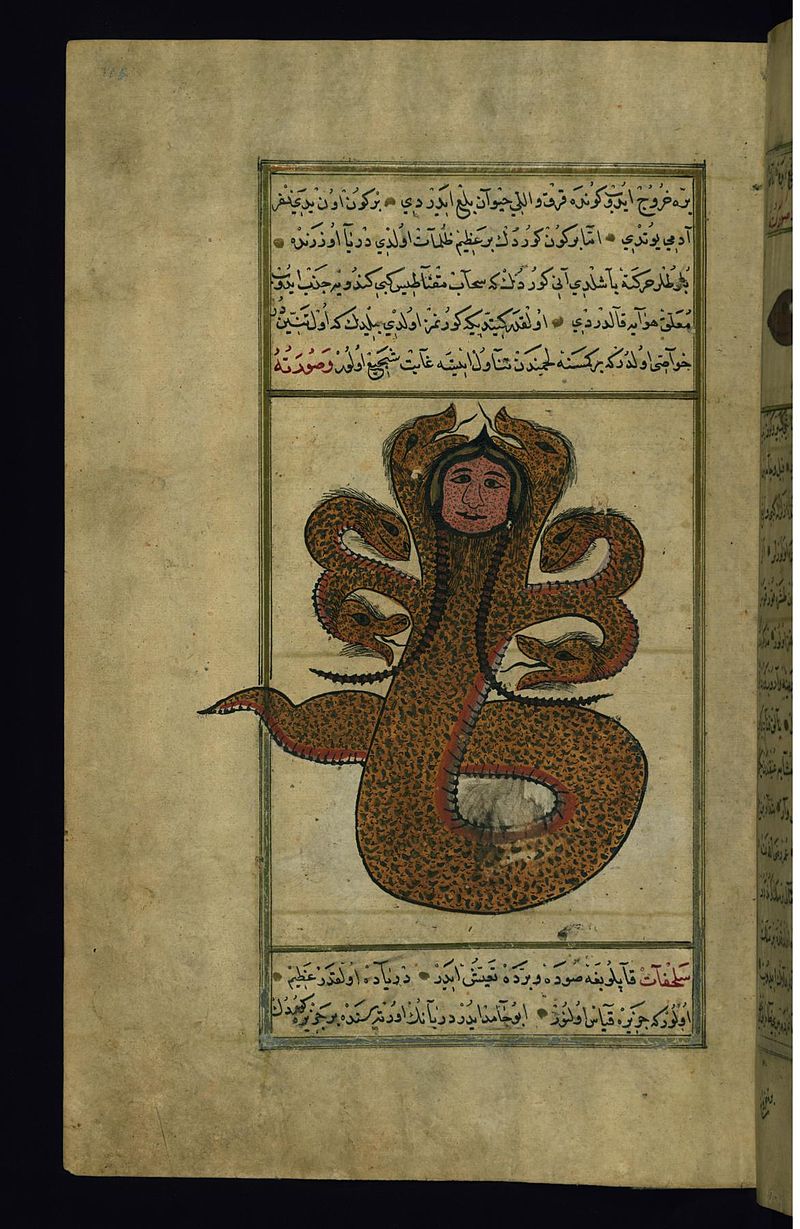 800px-Muhammad_ibn_Muhammad_Shakir_Ruzmah-%27i_Nathani_-_A_Dragon_-_Walters_W659175A_-_Full_Page.jpg