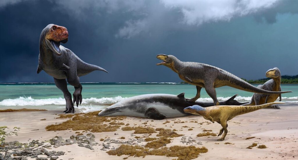 illustration-of-primitive-cousin-of-T-Rex-dinosaur-SWNS-1024x552.jpg